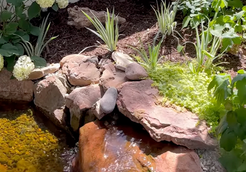 Fountain-n-plantings